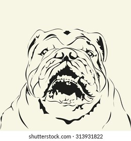 Bulldog Head