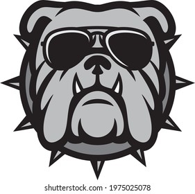 Bulldog head with aviator sunglasses 