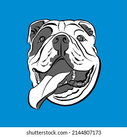 bulldog head - black and white color illustration
