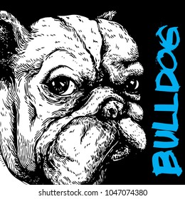 Bulldog head hand draw on black background with text