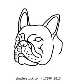 Bulldog Head Illustration. Outline style. Vector Illustration. Animal Icon. Good for Cricut