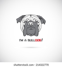 Bulldog head. Vector illustration.