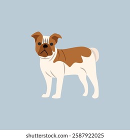 Bulldog illustration. Cute dog. Animal. Playful animal. Doggy. Bull dog. British dog.