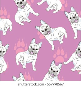 Bulldogie-Illustration, Vektorillustration, Illustration