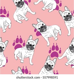 bulldog illustration, vector, illustration