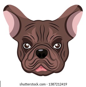 Bulldog illustration vector on white background