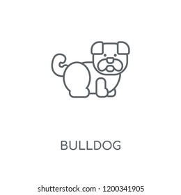 Bulldog linear icon. Bulldog concept stroke symbol design. Thin graphic elements vector illustration, outline pattern on a white background, eps 10.