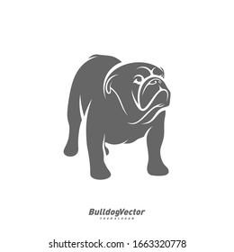 Bulldog logo design vector template. Silhouette of Bulldog design illustration