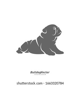 Bulldog logo design vector template. Silhouette of Bulldog design illustration