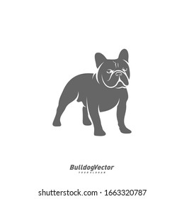 Bulldog logo design vector template. Silhouette of Bulldog design illustration