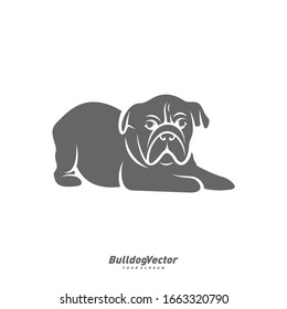 Bulldog logo design vector template. Silhouette of Bulldog design illustration