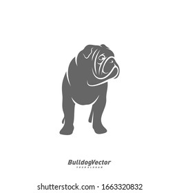 Bulldog logo design vector template. Silhouette of Bulldog design illustration