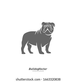 Bulldog logo design vector template. Silhouette of Bulldog design illustration