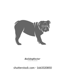 Bulldog logo design vector template. Silhouette of Bulldog design illustration