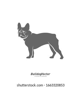 Bulldog logo design vector template. Silhouette of Bulldog design illustration