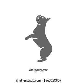 Bulldog logo design vector template. Silhouette of Bulldog design illustration