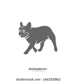 Bulldog logo design vector template. Silhouette of Bulldog design illustration