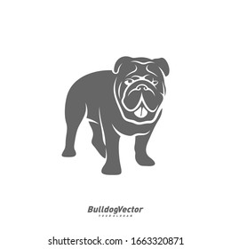 Bulldog logo design vector template. Silhouette of Bulldog design illustration