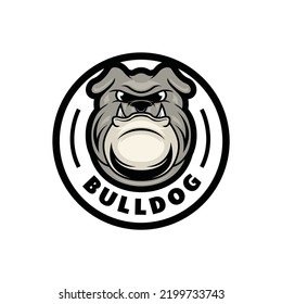 Bulldog logo mascot Design vector graphic
