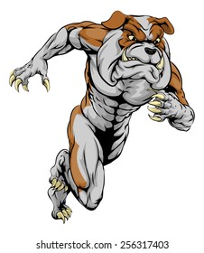 A bulldog man character or sports mascot charging, sprinting or running