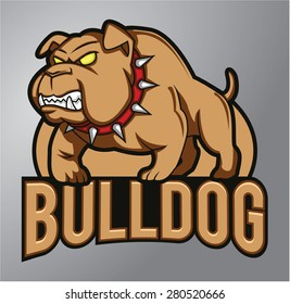 Bulldog Mascot 