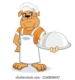 Bulldog mascot cartoon in vector