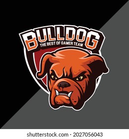 Bulldog mascot esport logo design
