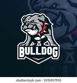 bulldog mascot logo design with modern illustration concept style for badge, emblem and t shirt printing. angry bulldog illustration.