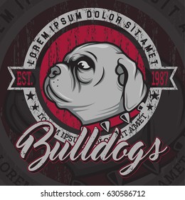 Bulldog mascot vector illustration