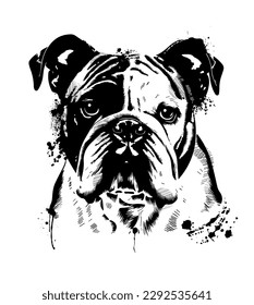 bulldog monochrome graphic object. Dog face. Hand-drawn vector illustration.