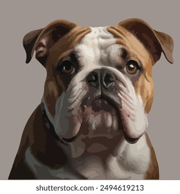 The Bulldog, often referred to as the English Bulldog, is a small to medium-sized breed known for its distinctive appearance and gentle disposition.