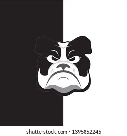
Bulldog on black and white background