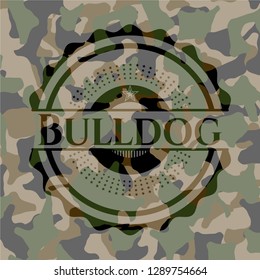 Bulldog on camouflage pattern