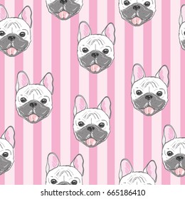 bulldog pattern, vector, illustration