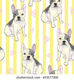 bulldog pattern, vector, illustration