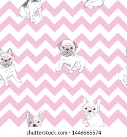 bulldog pattern, vector, illustration, dog