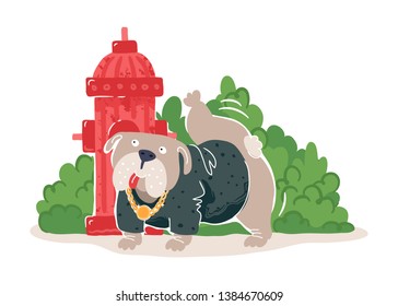 Perro de toro orinando en un hidrante. Ilustración vectorial.