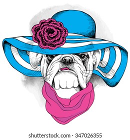 Bulldog portrait in a blue summer hat with knitted flower. Vector illustration.