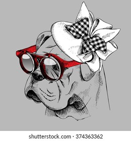 Bulldog portrait in a Elegant Women's hat with sunglasses. Vector illustration.