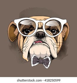 Bulldog portrait in a glasses and with a tie. Vector illustration.