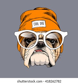 Retrato de bulldog con sombrero hipster y gafas. Ilustración vectorial.