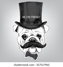 Bulldog portrait with mustache in top hat and tie. Vector illustration.