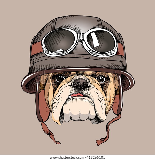 Bulldog Portrait Retro Helmet Racer Vector Stock Vector (Royalty Free ...