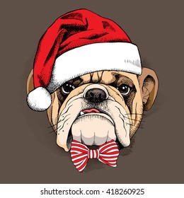 Bulldog portrait in a Santas hat and with a tie. Vector illustration.