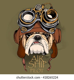 Bulldog portrait in a Steampunk helmet. Vector illustration.