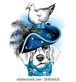 Bulldog portrait wearing a blue pirate hat and seagull. Vector illustration.