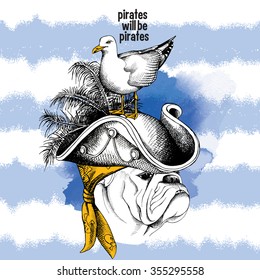 Bulldog portrait wearing a pirate hat and seagull on blue striped background. Vector illustration.