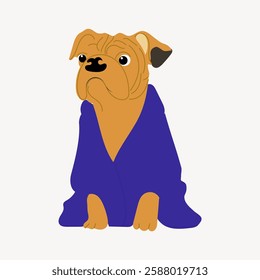 Bulldog puppy in the blue gown isolated, flat design, cartoon