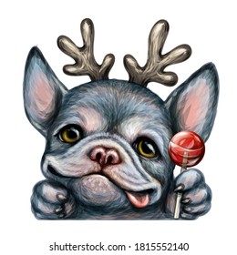 A bulldog puppy. wall sticker. Color realistic portrait of a happy bulldog with horns holding a Lollipop in its paw. Watercolor style. Separate layer.