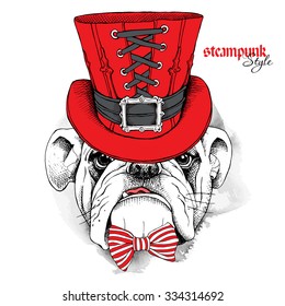 Bulldog in a red steampunk top hat and with bow. Vector illustration.